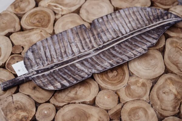 Feuille plate albésia