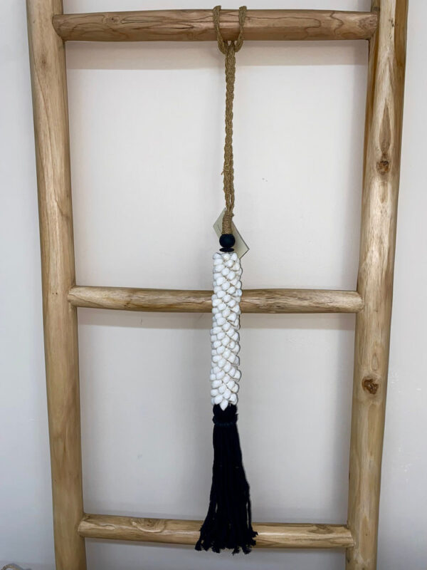 Tassel S Lermite / Petit coquillage