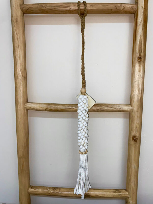 Tassel S Lermite / Petit coquillage