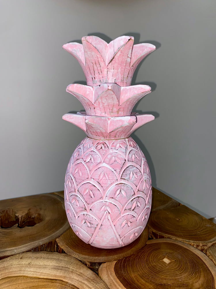 Ananas albesia – Image 16