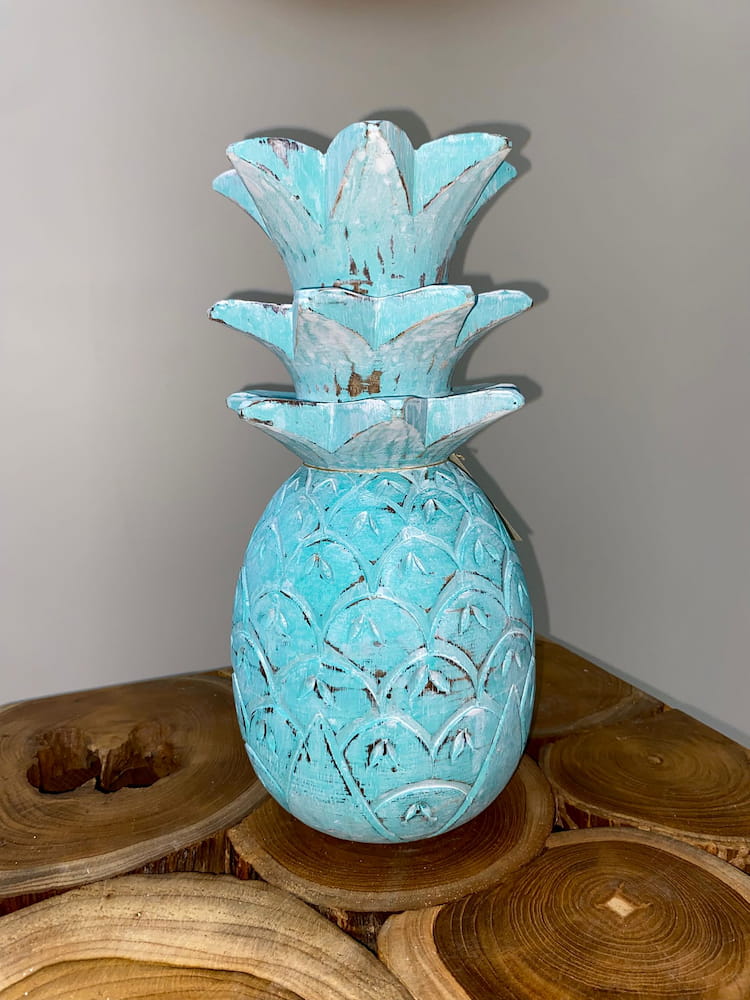 Ananas albesia – Image 17