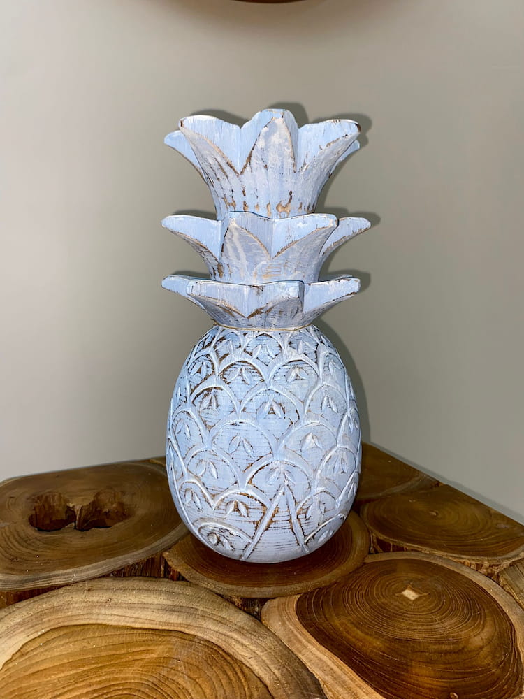 Ananas albesia – Image 9