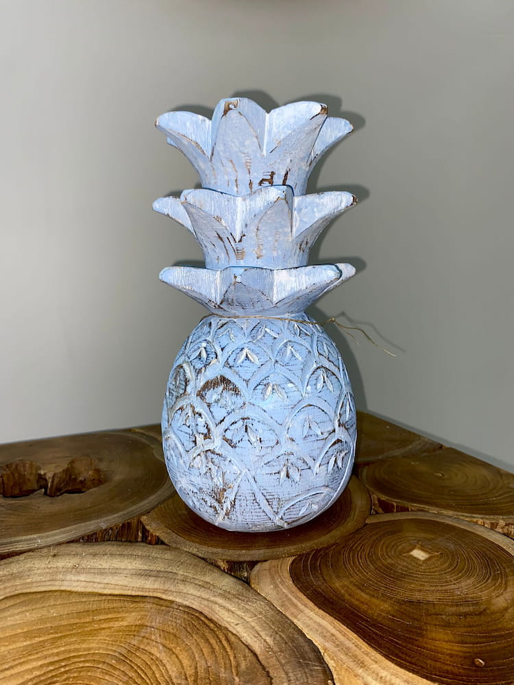 Ananas albesia – Image 7