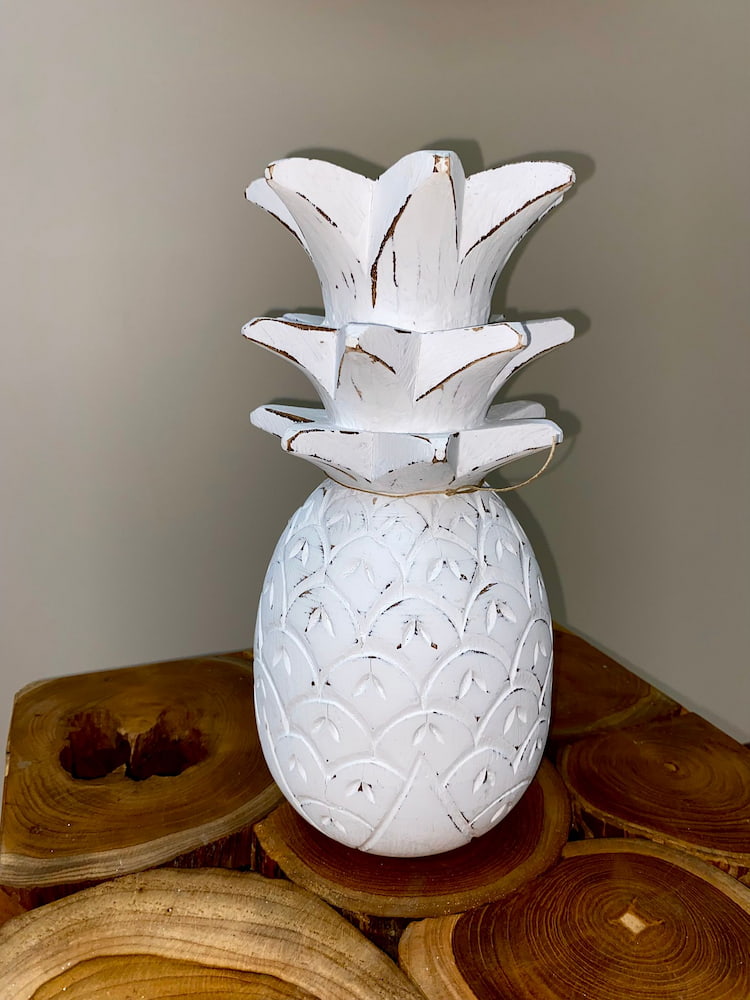 Ananas albesia – Image 3
